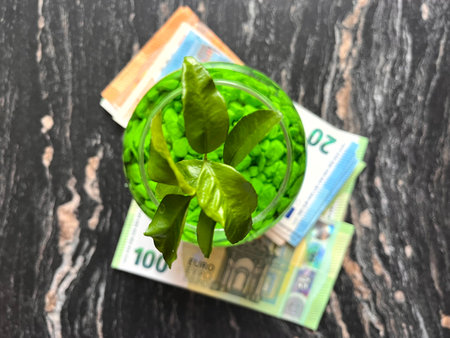 Financial planning, the concept of investing money and growth. A small green plant growing from euro banknotes.の写真素材