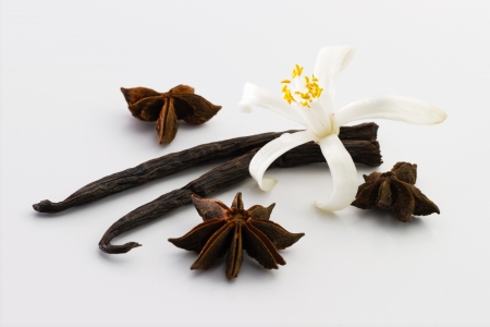 Vanilla, anise, flowerの写真素材
