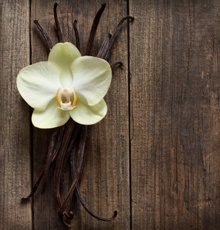 Vanilla sticks and flower on the wood backgroundの写真素材
