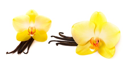 Vanilla sticks with flowerの写真素材
