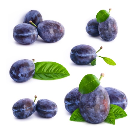 Plums with leafの写真素材