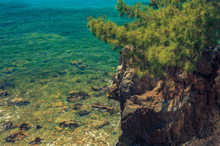 The rocky coast with pine tree overlooking the turquoise blue sea in warm summer day. Greece. Halkidikiの写真素材