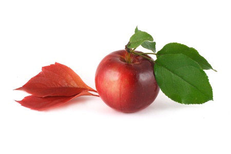 apple and leavesの写真素材