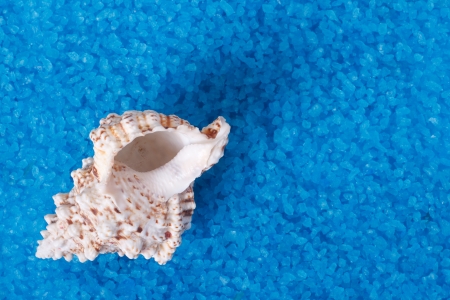 Beautiful sea shell on a background of blue bath salts の写真素材