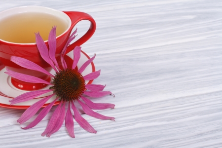 Herbal tea with Echinacea on a wooden tableの写真素材