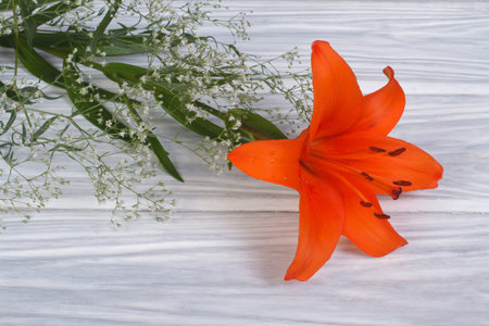 Orange lily flower framed by gypsophila on a wooden tableの写真素材