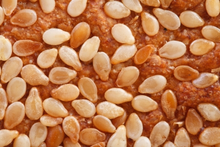 bread sprinkled with sesame seeds close-up. macro. texture
の写真素材