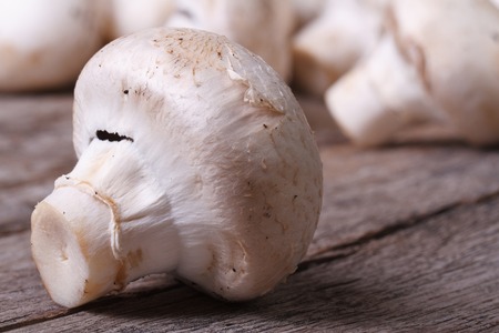Fresh mushrooms macro on an old wooden table. close up 
の写真素材
