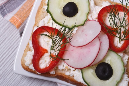 healthy sandwich with vegetables and soft cheese macro. horizontal. top view
の写真素材