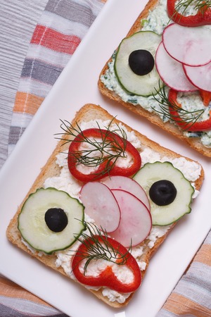 two delicious and healthy sandwich with vegetables and soft cheese closeup on a white plate. vertical. top view
の写真素材