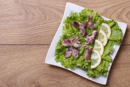 small octopus with lemon slices on lettuce leaves. view from above. horizontalの写真素材