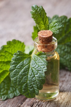 Melissa tincture in glass bottle with fresh leaves on the old wooden table closeup vertical 
の写真素材