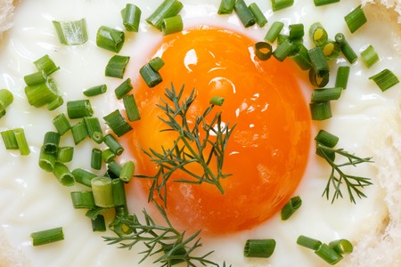 Fried egg sprinkled green onions and dill closeup. top view
の写真素材