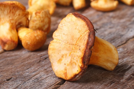 fresh chanterelle mushrooms closeup on wooden background. horizontal
の写真素材