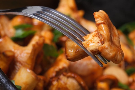 fried chanterelle mushrooms with a fork macro horizontal の写真素材