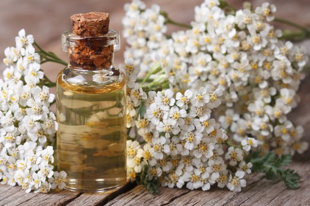 Tincture of yarrow in the bottle close-up on a background of flowers on the table. の写真素材