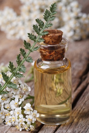 yarrow oil in a bottle with flowers on the table. 
の写真素材