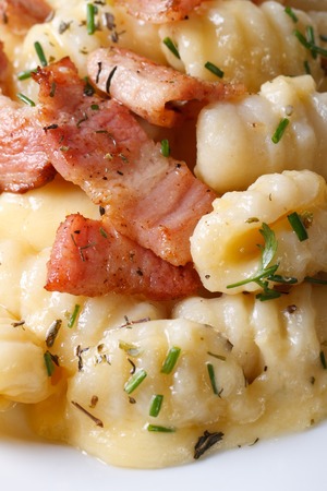 potato gnocchi with cheese and bacon macro. vertical top viewの写真素材