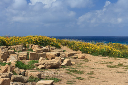 Archaeological excavations in Cyprus. Sea View. Springのeditorial素材
