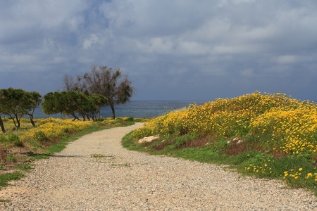 The road to the sea in Paphos. Cyprus springの写真素材