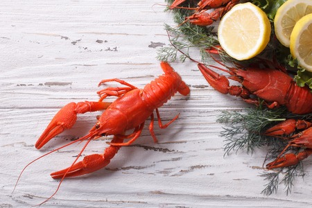 boiled crawfish on the table close-up. horizontal view from aboveの写真素材