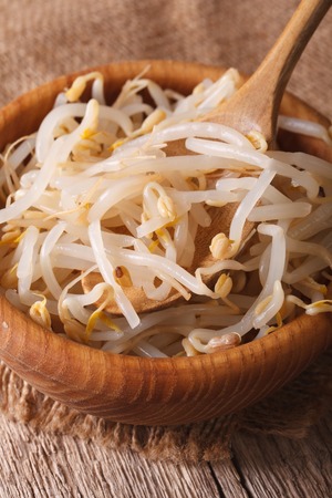 Raw bean sprouts mung macro in a wooden bowl on the table. verticalの写真素材