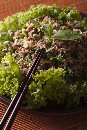 Asian food: salad of minced meat with herbs close-up on a plate. Verticalの写真素材