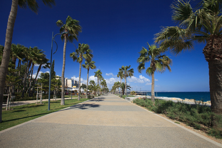 Limassol's seafront promenade with beautiful palm trees. Cyprusの写真素材