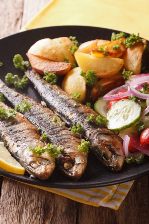 Grilled sardines with roasted potatoes and fresh vegetable salad close-up on a plate. vertical
の写真素材