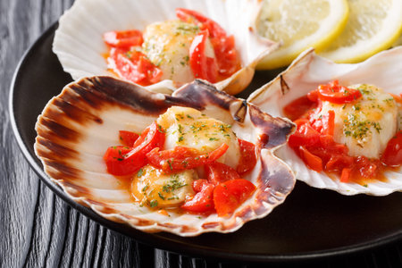 scallops served with a shell with sauce, tomatoes and parsley close-up on a plate on a table....