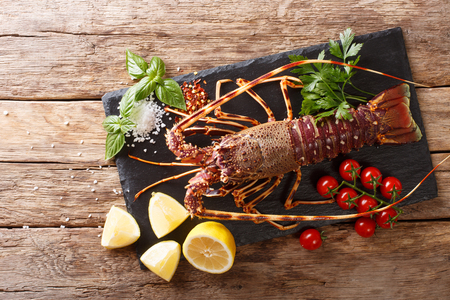 Gourmet food: raw spiny lobster or sea crawfish with ingredients for cooking close up on a wooden table. horizontal top view from aboveの写真素材