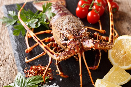 Raw spiny lobster with tomato, lemon and herbs macro on a black background. horizontalの写真素材