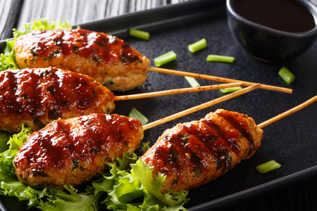 Traditional Japanese Tsukune grilled chicken meatballs close-up on a plate on the table. horizontalの写真素材