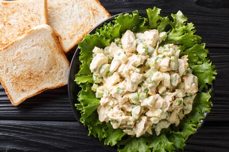 Southern chicken salad with celery, eggs and green onions with toast close-up on a plate on the table. Horizontal top view from above
の写真素材