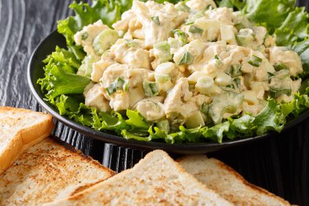 American chicken salad with celery, eggs and onions seasoned with mayonnaise close-up on a plate on the table. Horizontal
の写真素材