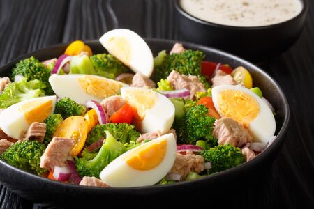 Healthy salad with tuna, broccoli, tomatoes, onions and eggs close-up in a plate on the table. horizontalの写真素材