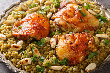Lebanese chicken served on a bed of freekeh fire-dried green wheat with a garnish of toasted nuts closeup on the table. Horizontalの写真素材