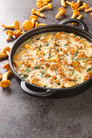 Tasty creamy chanterelle sauce in a pan on a table, french cuisine. Verticalの写真素材