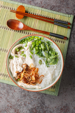Asian chicken noodle soup with fried onions, green onions and cilantro close-up in a bowl on the...