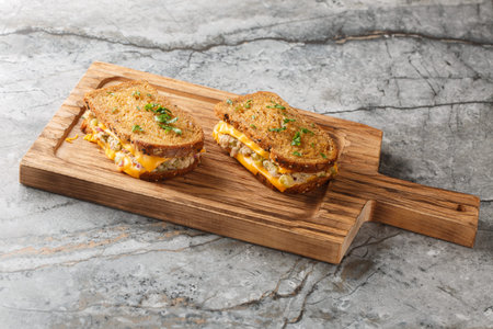 Delicious fresh tuna melt toasts made from rye bread, canned tuna with vegetables and mayonnaise and...
