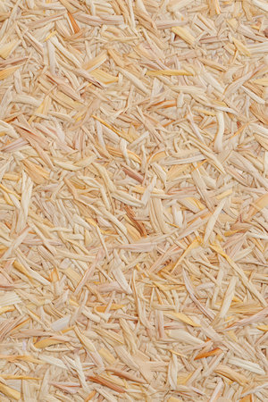 close up of brown rice husk texture for background and design.の素材