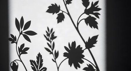 silhouette of a plant on a white wall, black and whiteの素材