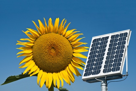 Sunflower and panel solar, the future energyの写真素材