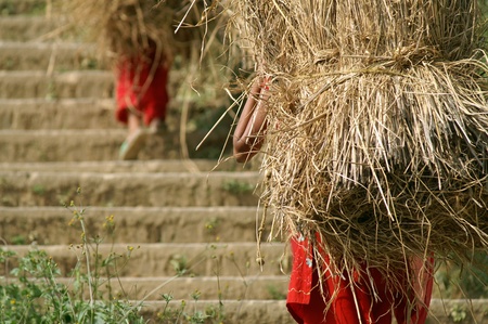 Kathmandu, Nepal, october 11, 2010: Women wear pearl collection wheat on the stairsのeditorial素材
