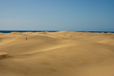 Desert with sea on the horizontの写真素材