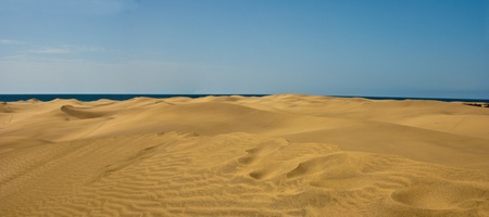 Desert sand dunes with sea on the horizontの写真素材