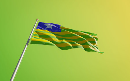 Piaui Brazil State Flag. 3D artwork