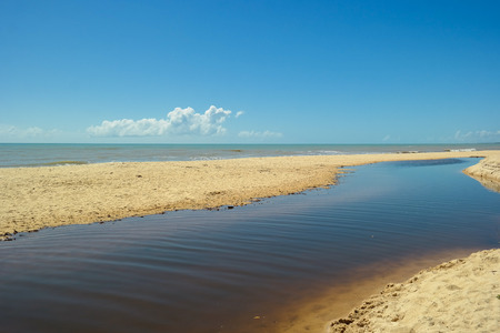 Stream in Passion beach (Riacho in Praia da Paixao) - Prado - Bahia - Brazilの写真素材