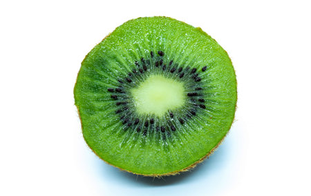 Kiwi cross section