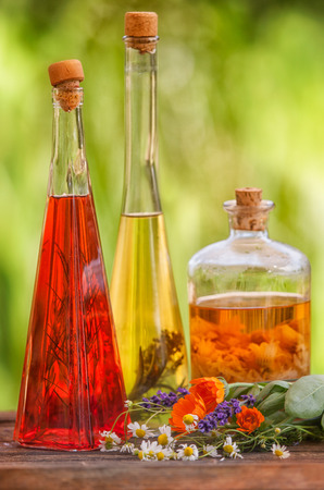 Herbs, tincture, essenz, liquor on a wooden boardの写真素材